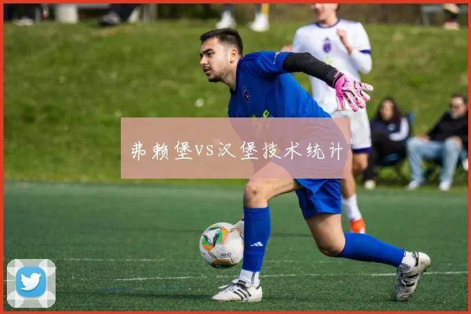 弗赖堡vs汉堡技术统计