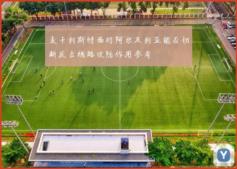 麦卡利斯特面对阿尔及利亚能否切断反击线路攻防作用参考