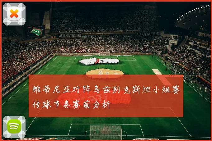 维蒂尼亚对阵乌兹别克斯坦小组赛传球节奏赛前分析